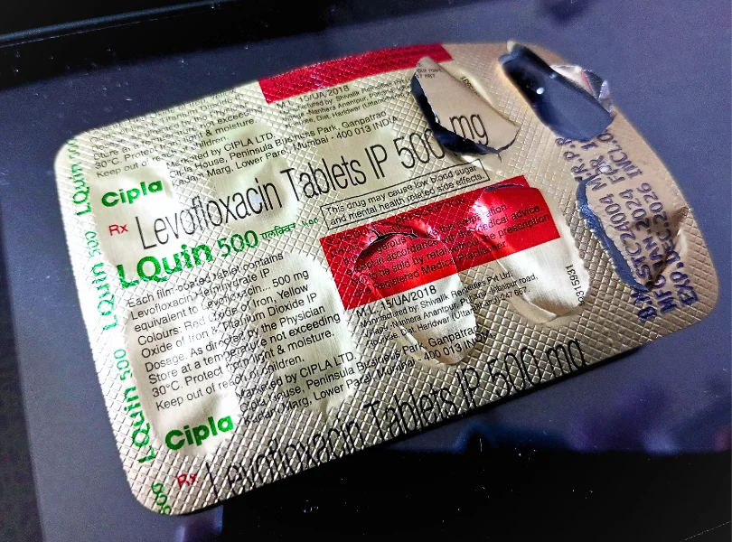 エルクイン（LQuin）500mg のシート