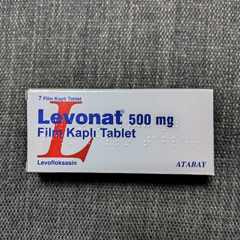 レボナット(Levonat)500mg の箱