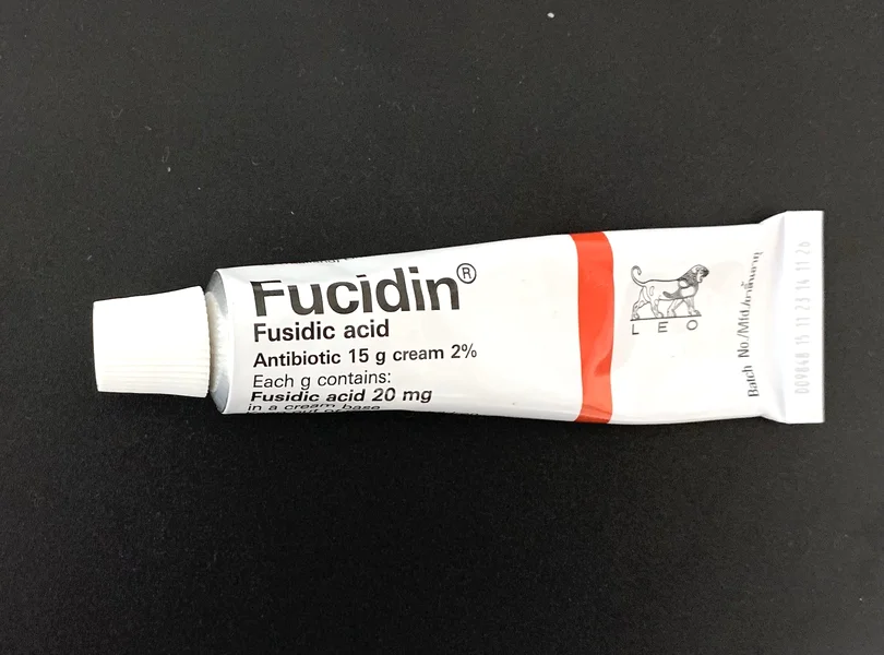 FUCIDIN ※口コミ追加ありの写真(けんけんさん提供)