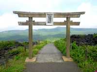 神社で髪頼み!?毛髪供養祭で抜け毛対策