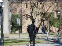 薄毛になる年代、男性は20代から