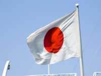 日本の薄毛人口はおよそ4200万人