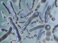 首や顔、頭部に感染！？「新型水虫」