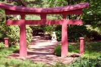 髪は長い友達ではなく神様[髪のパワースポット]
