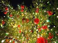 クリスマス