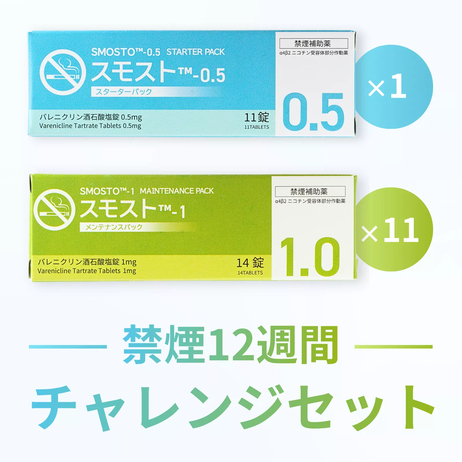 禁煙12週間チャレンジセット