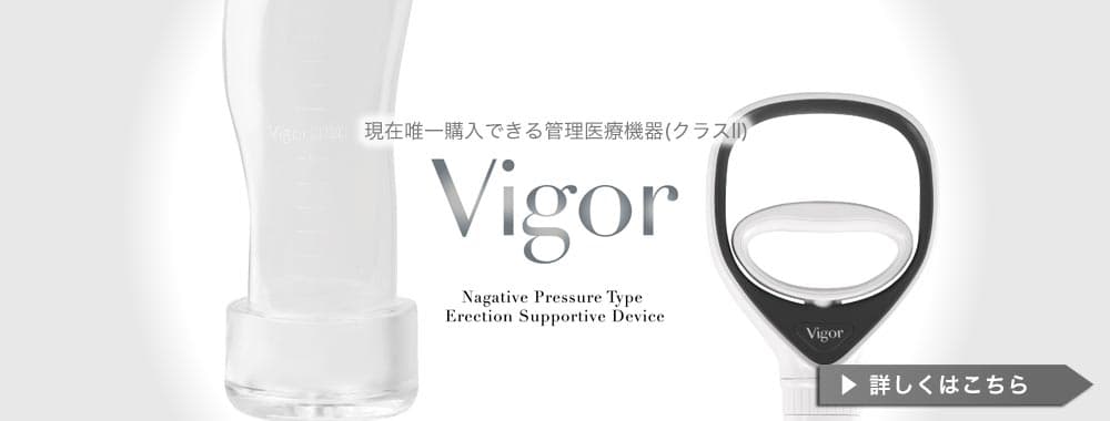 ビガー(vigor)2020