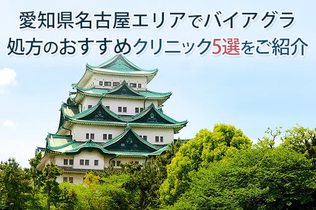 愛知県名古屋エリアでバイアグラ処方のおすすめクリニック5選をご紹介